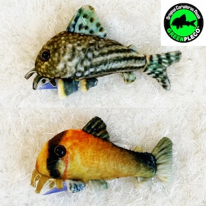 Sterbai & Metae &quot;Bandit&quot; Corydoras Plüsch 15cm Wels Set
