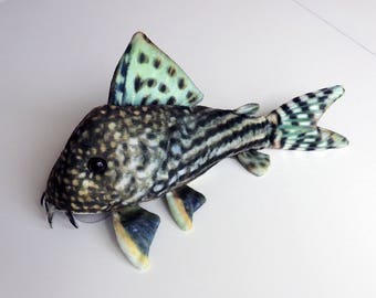 Sterbai Corydoras Plush 6 inch catfish