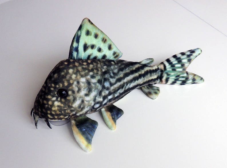 Sterbai Corydoras Plush 6 inch catfish image 1