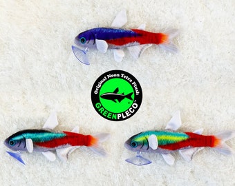 Neon Tetra Cardinal Collection Set