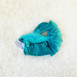 Akua Betta Fish Plush ( approximately 8 inch )