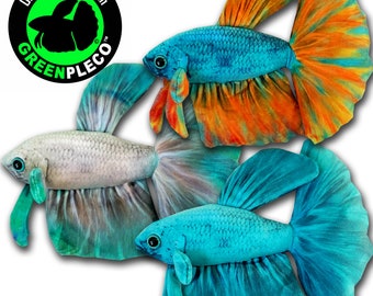 Teal Spectrum Betta Trio Collection Set ( approximately 8 inch )