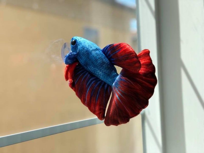 Betta Plush approximately 8 inch image 7