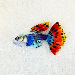 Spettro Guppy Fish Plush Approximately 9.5 inches