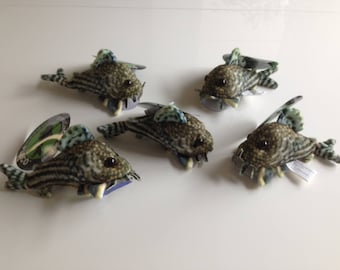 Escuela Sterbai Corydoras de 5 Peluches