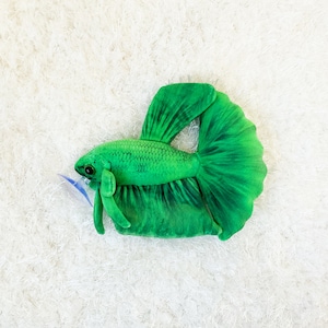 Grun Betta Fish Plush ( approximately 8 inch ) green color