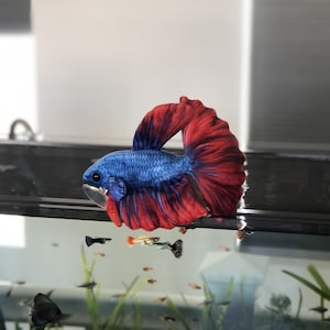 Betta Plush approximately 8 inch image 2