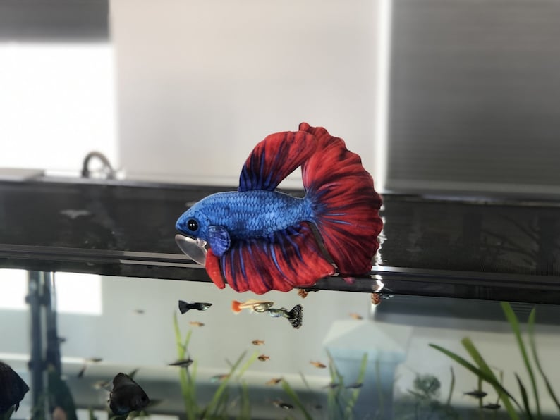 Betta Plush approximately 8 inch image 2