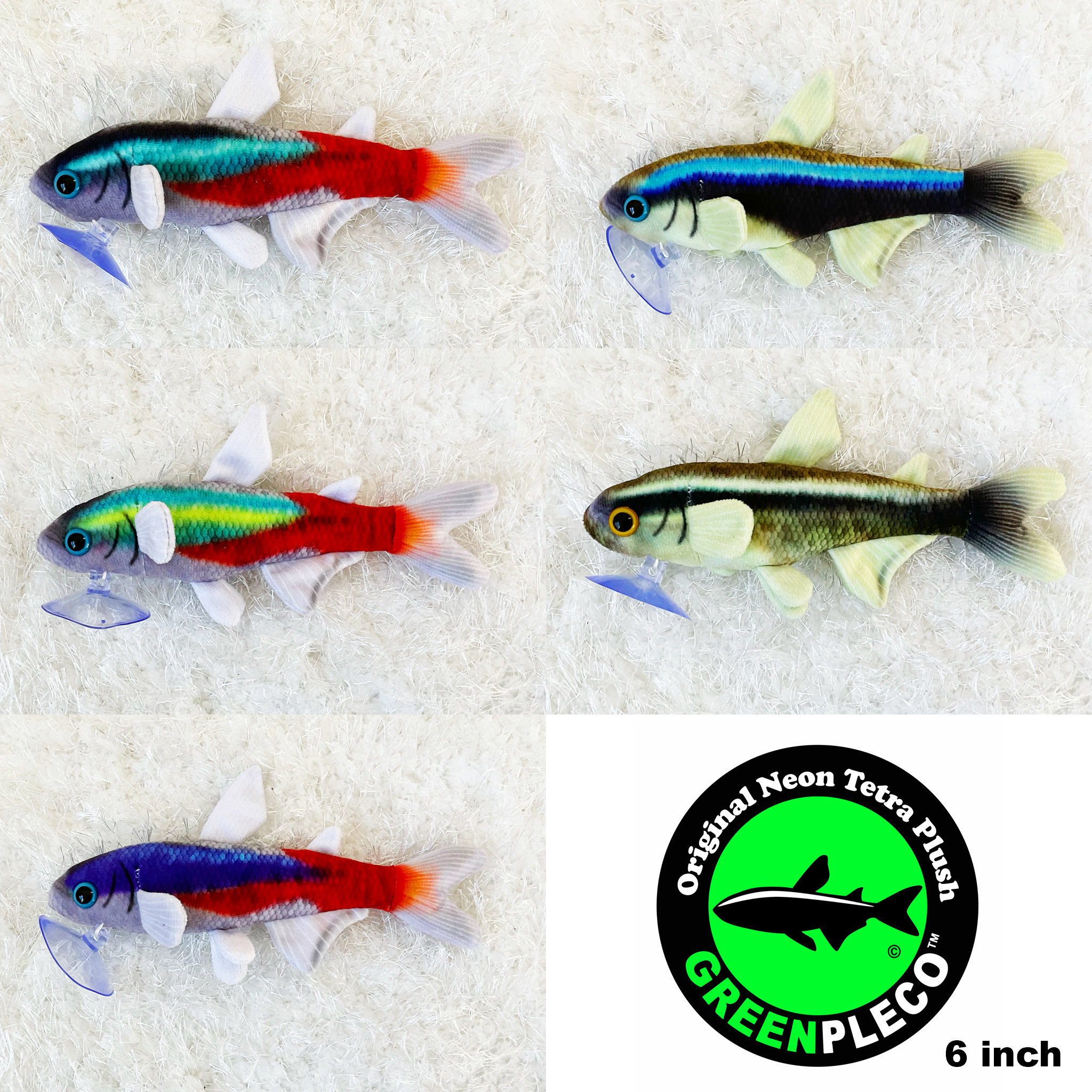 Neon tetra商品 Neon Tetra Collection Set of 5 by Greenpleco - Etsy