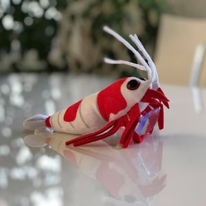 K&ouml;nnte beinhalten: Ein rotes und wei&szlig;es Pl&uuml;sch-Garnelenspielzeug mit gro&szlig;en schwarzen Augen und wei&szlig;en Antennen. Die Garnele liegt auf einer wei&szlig;en Oberfl&auml;che.