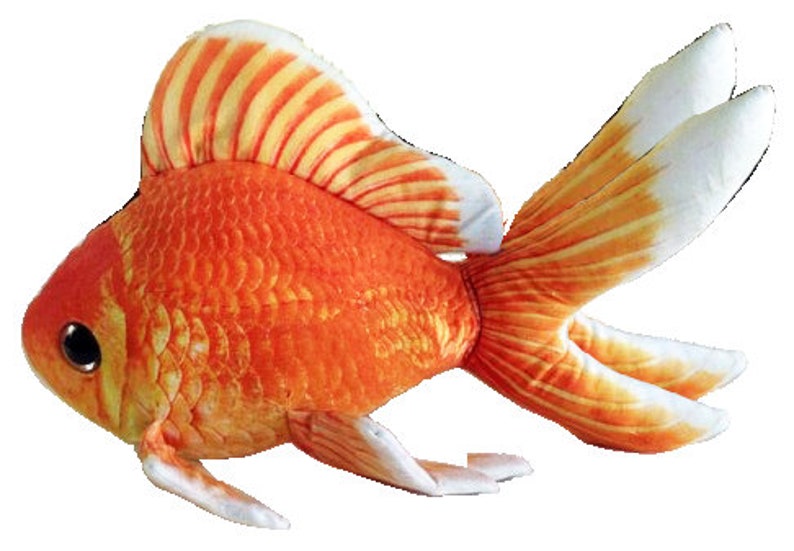 Goldfish Plush 12 inch image 7