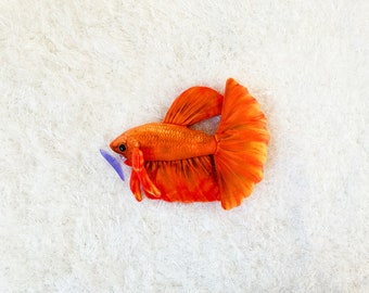 Orange Betta Fish Plush  By GreenPleco.