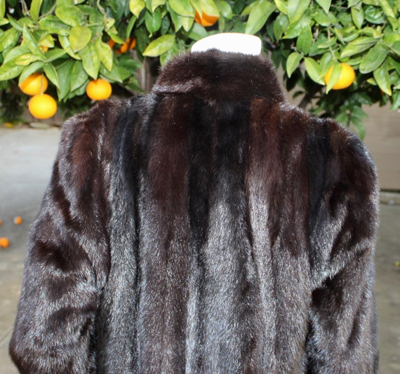 Breathtaking Glam Stunning Dark Brown Ranch Mink … - image 4