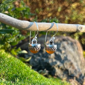 E76 Carnelian sterling earrings