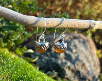 E76 Carnelian sterling earrings