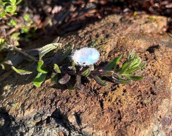 R82 Glowing rainbow moonstone sterling ring, size 7