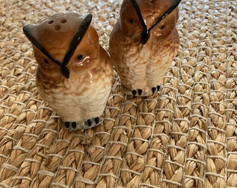 Brinns Bone China Owl Salt and Pepper Shakers Taiwan