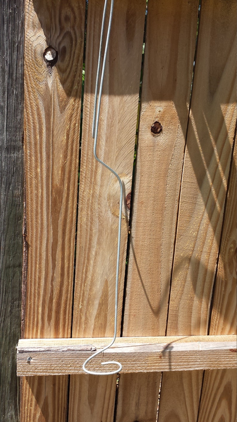 Orchid Vanda wire hanger adjustable length 24 36 no basket Etsy