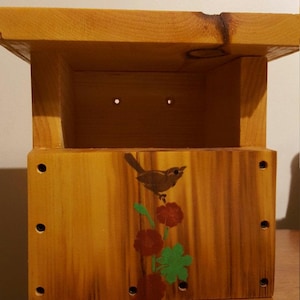 Carolina wren nesting box