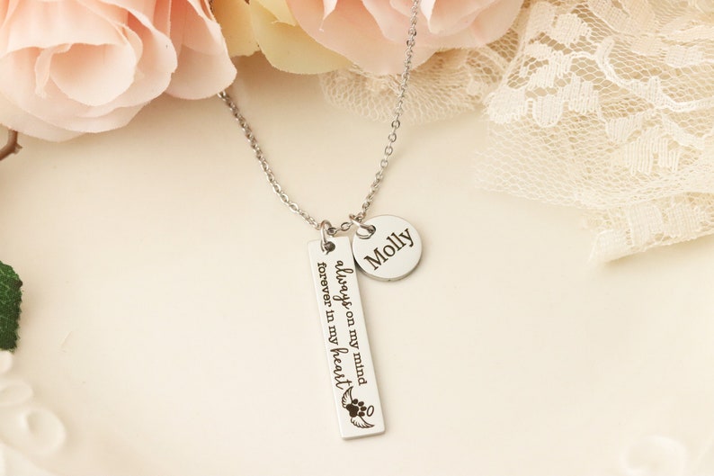 Always on my Mind, Forever in my Heart Pet Memorial Necklace Pet Urn Necklace Dog Urn Necklace Dog Memorial Necklace image 2