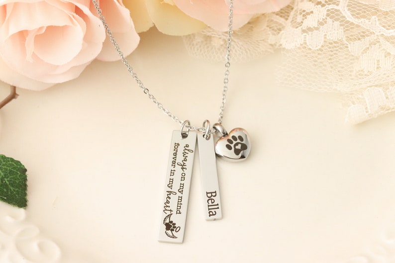 Always on my Mind, Forever in my Heart Pet Memorial Necklace Pet Urn Necklace Dog Urn Necklace Dog Memorial Necklace image 1