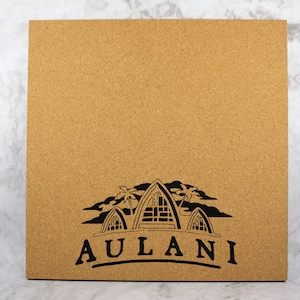 Aulani Disney Pin Board