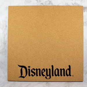 Disneyland Pin Board