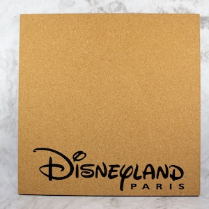Disneyland Paris Pin Board