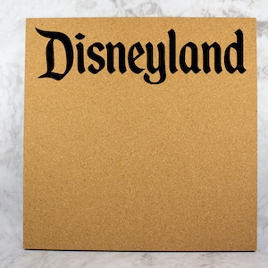 Disneyland Pin Board
