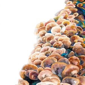 Symbiosis Giclee Prints
