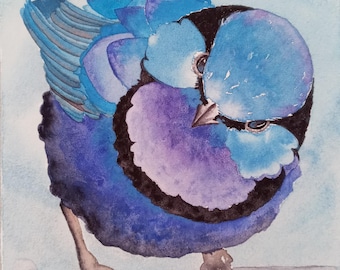 Splendid Fairy Wren 5" x 7" Giclee Prints