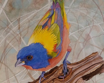 Painted Bunting (for Sarah only) - Original Watercolor Painting