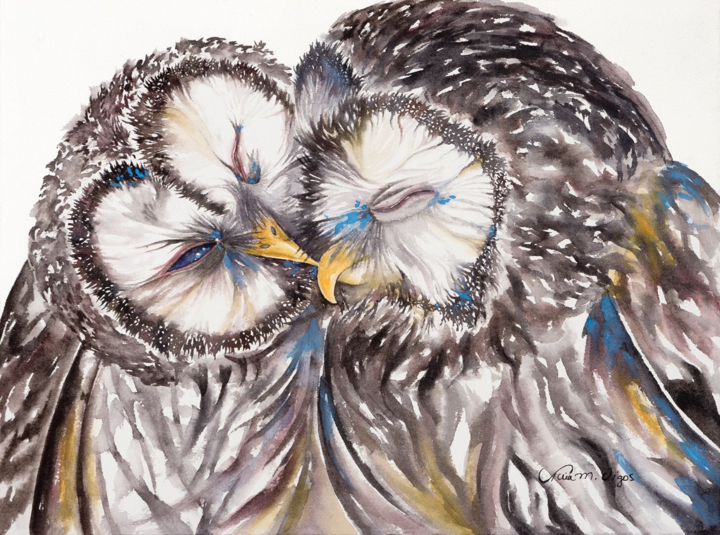 Baby Barred Owls Giclee Prints