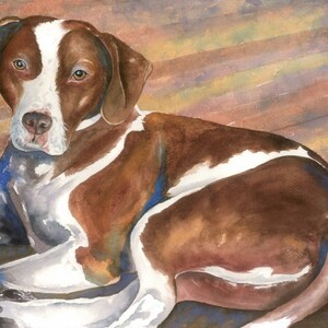 Pode incluir: Pintura em aquarela de um cão com marcas marrons e brancas, deitado. O cão tem orelhas e olhos castanhos, com uma faixa branca no rosto. O fundo é uma série de tábuas de madeira horizontais.