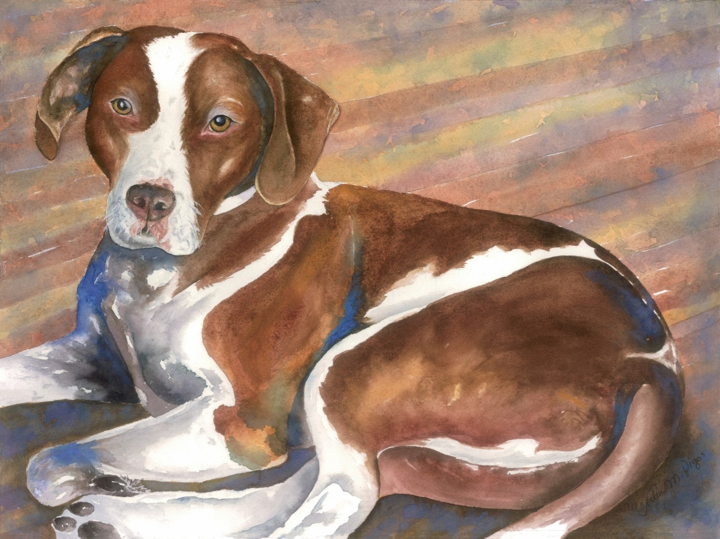 Pitbull Puppies Hollingsworth Pitbulls For Sale Buy Hollingsworth