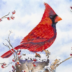 Cardinal with Berries Giclee Prints