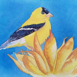 Goldfinch (Box of 10) Blank Notecards