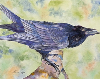 Impresiones giclée de cuervo