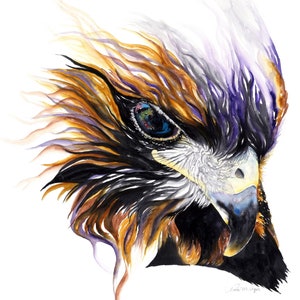 A World in Her Eyes (Red-tailed Hawk) Giclee Prints