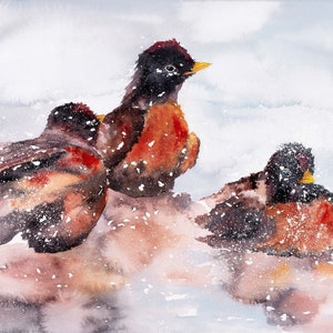 Op de afbeelding: Drie roodborstjes zitten op een besneeuwde ondergrond, met hun rode borsten en zwarte koppen zichtbaar. De vogels zijn bedekt met sneeuw, wat een winters tafereel creëert.