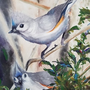Titmice tufted (scatola di) Biglietti per appunti vuoti
