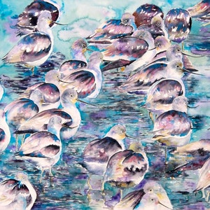 Avocets Giclee Prints