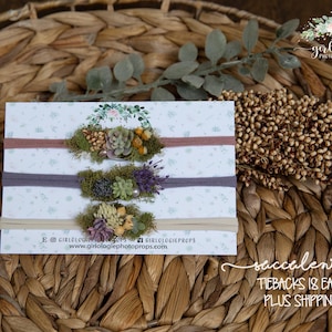Floral Tieback  * Headband *  Newborn Succulent Tieback * Sitter * Toddler  *  Photo Prop * SOLD SEPARATELY