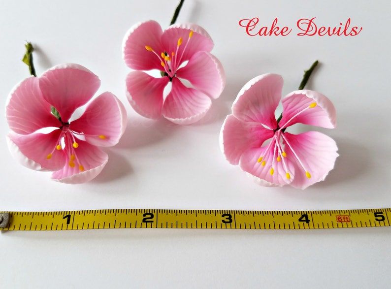 Blossom Cake Topper Flowers, Gumpaste Cherry Blossom Flowers, Fondant Wedding Flowers, Floral Cake Decorations, Bridal Shower Sugar Flowers image 2