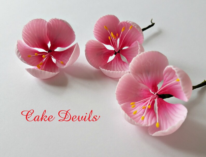 Blossom Cake Topper Flowers, Gumpaste Cherry Blossom Flowers, Fondant Wedding Flowers, Floral Cake Decorations, Bridal Shower Sugar Flowers image 1