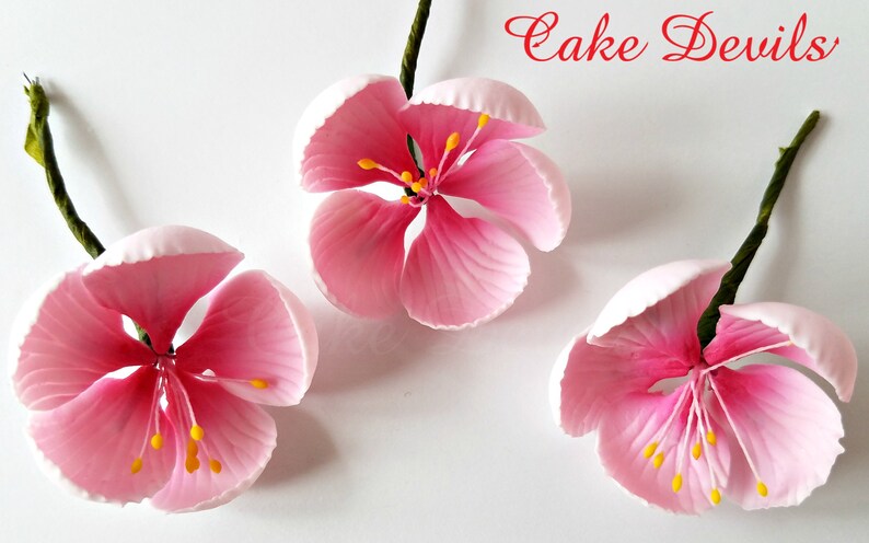 Blossom Cake Topper Flowers, Gumpaste Cherry Blossom Flowers, Fondant Wedding Flowers, Floral Cake Decorations, Bridal Shower Sugar Flowers image 4