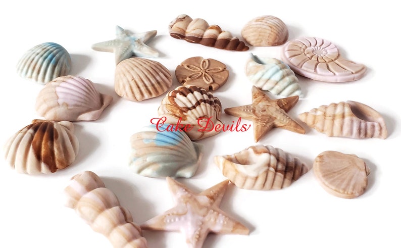 Sea Shell Cake / CupCake Toppers, Perfect with our Mermaid Tails, Handmade Edible Fondant shells, shell cake toppers, shell cupcake toppers image 1