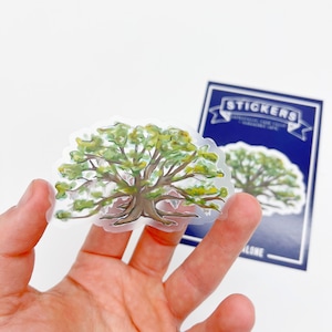 May include: A clear sticker with a watercolor illustration of a large oak tree with Spanish moss hanging from its branches. The sticker is on a blue background with the word "Stickers" printed in white.