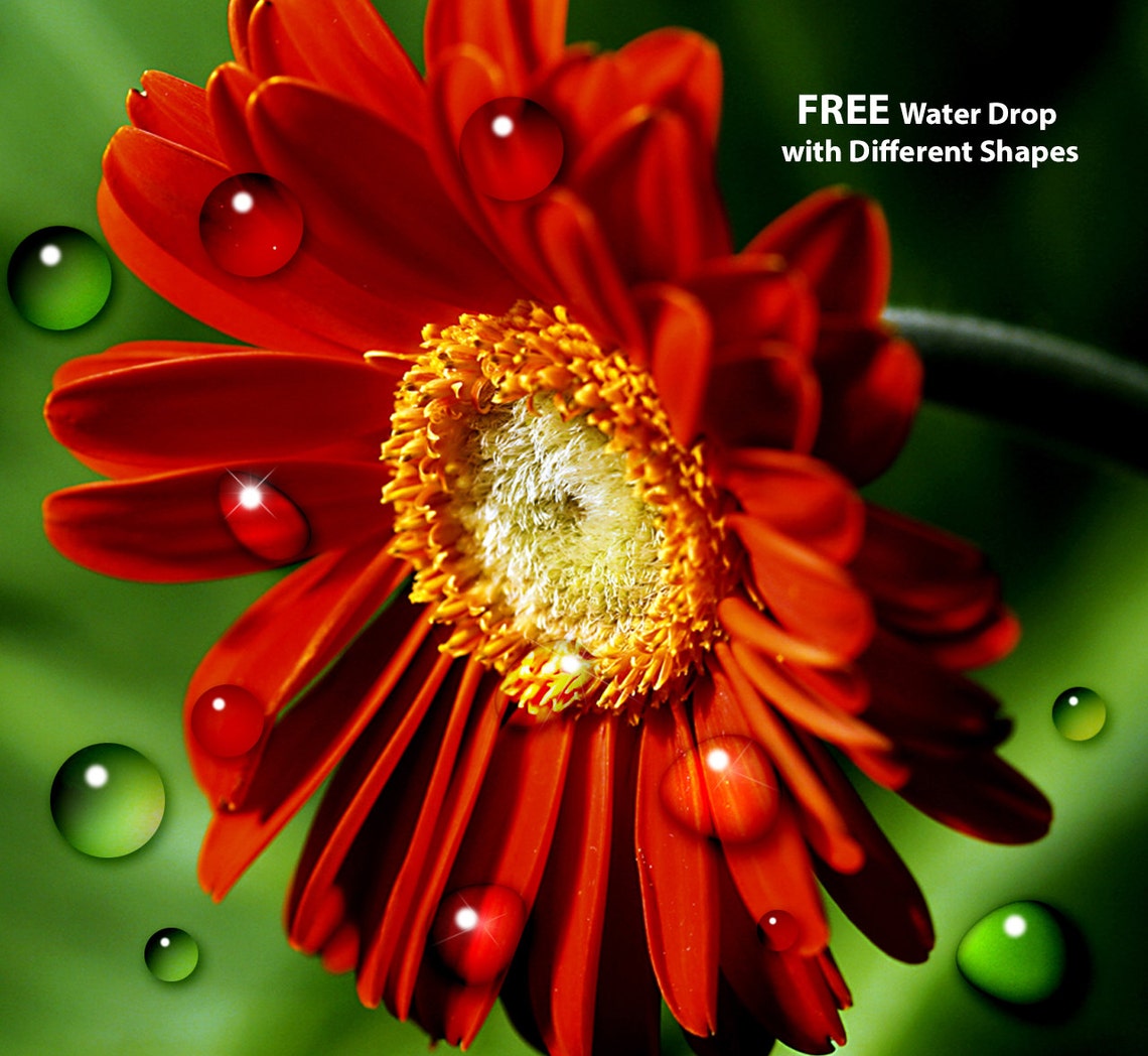 FREE Water Drop Effect. INSTANT DOWNLOAD Snow Globe Etsy