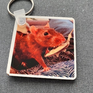 Rat photo Keyrings